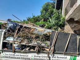 Best Hoarding Cleanup  in Wharton, TX